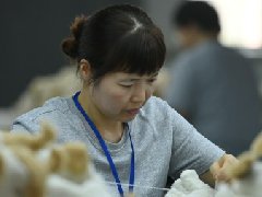 宠物“小玩具” 富民“大产业”