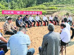 田间商“粮” 共话“粮”策