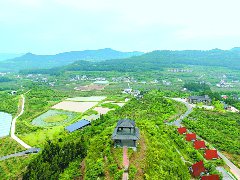 以“党建链”串起“产业链” 赋能乡村振兴的南充路径