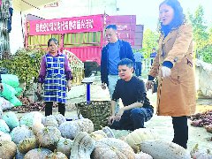 进村入户上门采购 农产品卖出了好价钱
