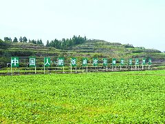 稻油轮作 “闲田”变“忙田”