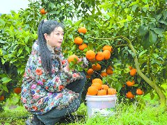 乡村行 看振兴  网络直播展示双胜镇振兴乡村的创新实践和显著成绩