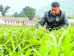 与嘉陵5000余亩土地“结缘”