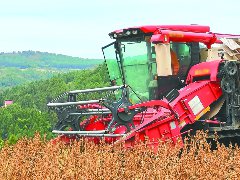 市农科院选育的南夏豆38在全省推广近80万亩