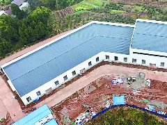 粮桑融合发展示范园预计3月底竣工投产
