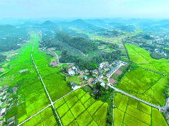 南充市5家现代农业园区获评省星级现代农业园区