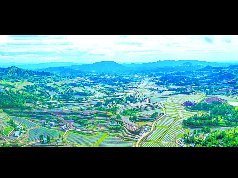 天府粮仓 南充担当——我市“三农”工作发展综述