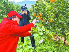 发挥新媒体优势 助力乡村振兴