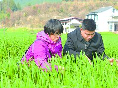 农技服务送到田间地头