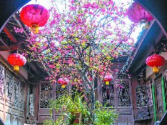 南充“赏花经济”活力十足