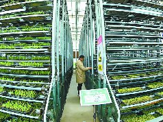 订单育苗备春耕