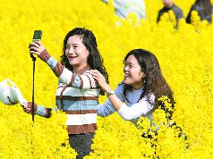 和美乡村万亩油菜花赏花季本周六启幕
