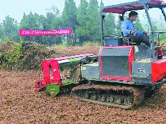 阆中市获评“四川供销流通服务强县”