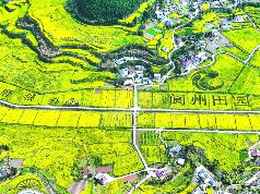 春和景明阆中5000亩油菜花田醉游人