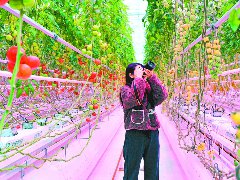 嘉陵江畔文旅潮涌 南达携手共绘新篇
