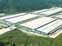 阆中引进万头种猪 刷新西南地区单批次引种纪录