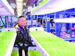有“智”又有质 水稻育秧尽显“科技范”