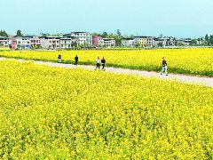 组团培育副中心 文旅先行探新路