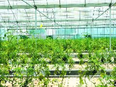 顺庆：数字赋能 推动智慧农业提质增效