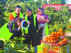 西充：托起群众“家门口”就业梦