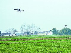 今年前4个月全市机耕作业面积达420万亩