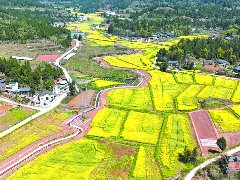 厚植乡风文明沃土 筑牢乡村振兴基石