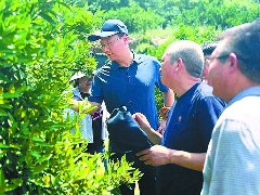 专家“把脉”柑橘产业 送上实用种植技术