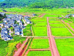 28万亩有机田园绘就乡村振兴新画卷