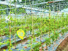 美丽乡村涌动勃勃生机