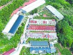 我市建成1895个生猪规模养殖场