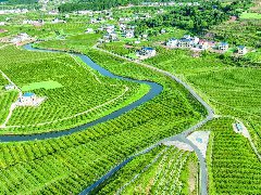 南部县推动工业转型、农业升级、基层治