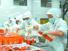 生产身着无菌服 抽检结果及时传