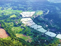 “一村十品” 产兴民富