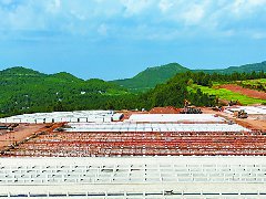 蓬安县建成生猪规模养殖场194家