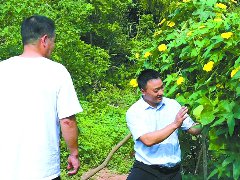 培育“支书主播” 解锁乡村振兴“流量密码”