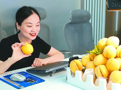 优质农产品销售火爆