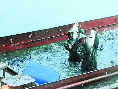 15万斤鱼“安家”升钟湖