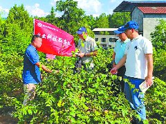 “田间课堂”开讲 村民现场学技术