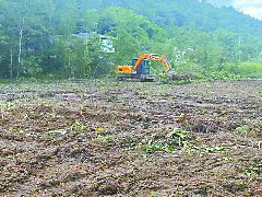 叶用银杏育苗育种标准化建设基地开建