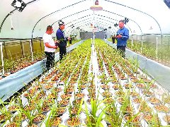 曲水镇蹚出乡村振兴新路径