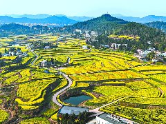 仪陇尽展和美乡村新画卷