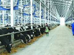 “链”上升级绘就南充农业“智慧图景”