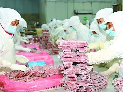 南充肉牛产业“牛”气十足