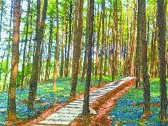 仪陇：林下种出亿元产业