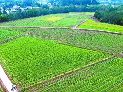 结对帮扶绘新景 干群合力促振兴