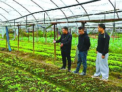 高坪“菜篮子”满满当当