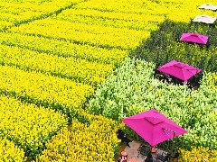 和美乡村的焕新密码