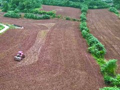 2026年全市小春生产良好开局