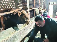 田间农舍警徽亮 乡村旧貌换新颜