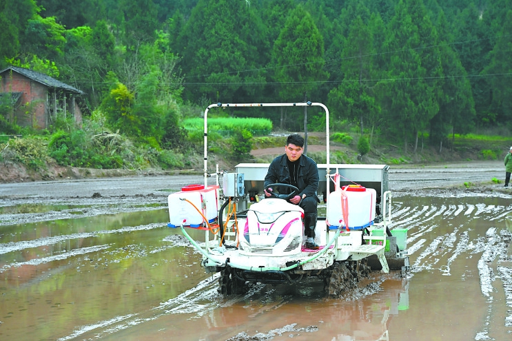 在春天的田野上耕耘希望